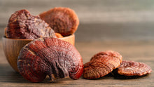 Load image into Gallery viewer, NatraHeal - Medicinal Reishi Mushroom Capsules - 60 Caps
